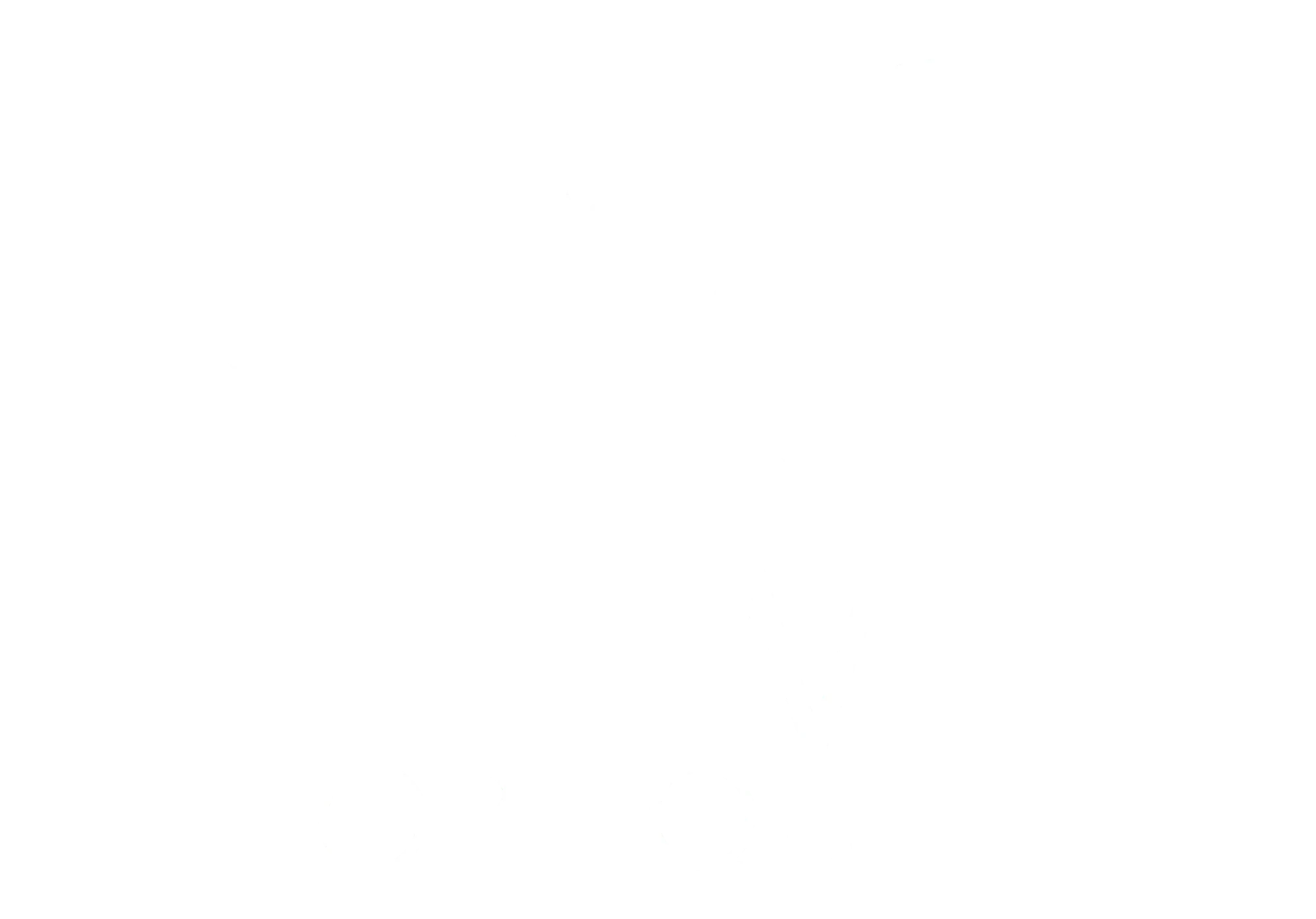 logo hem optique_blanc sf